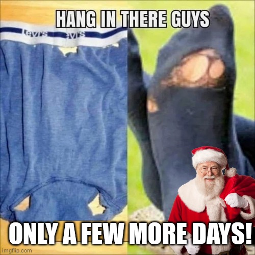 Ratty Underwear bachelor Christmas | ONLY A FEW MORE DAYS! | image tagged in christmas | made w/ Imgflip meme maker