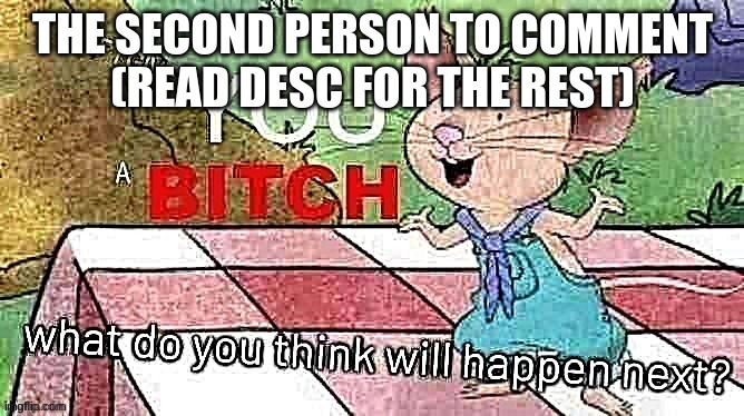 If I Give You A Bitch | THE SECOND PERSON TO COMMENT
(READ DESC FOR THE REST); MUST GIVE ME THEIR PASSWORD | image tagged in if i give you a bitch | made w/ Imgflip meme maker