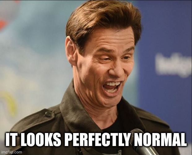 DOOFUS | IT LOOKS PERFECTLY NORMAL | image tagged in doofus | made w/ Imgflip meme maker