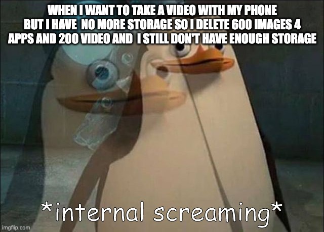 based on a true story | WHEN I WANT TO TAKE A VIDEO WITH MY PHONE BUT I HAVE  NO MORE STORAGE SO I DELETE 600 IMAGES 4 APPS AND 200 VIDEO AND  I STILL DON'T HAVE ENOUGH STORAGE | image tagged in private internal screaming | made w/ Imgflip meme maker