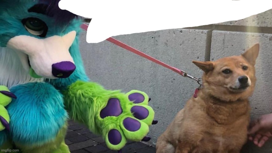 Furry scaring dog | image tagged in furry scaring dog | made w/ Imgflip meme maker