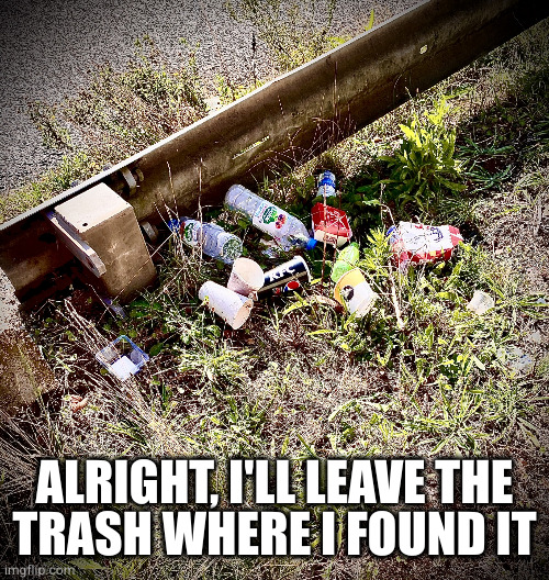 Litter | ALRIGHT, I'LL LEAVE THE
TRASH WHERE I FOUND IT | image tagged in litter | made w/ Imgflip meme maker
