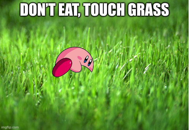 grass is greener | DON’T EAT, TOUCH GRASS | image tagged in grass is greener,kirby | made w/ Imgflip meme maker