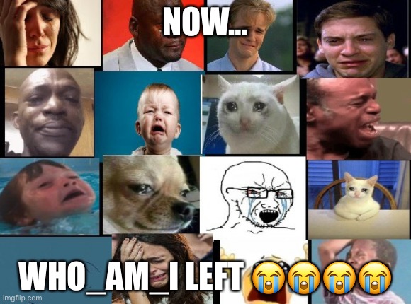 The whole squad crying | NOW…; WHO_AM_I LEFT 😭😭😭😭 | image tagged in the whole squad crying | made w/ Imgflip meme maker