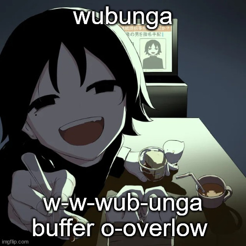 avogado6 | wubunga; w-w-wub-unga buffer o-overlow | image tagged in avogado6 | made w/ Imgflip meme maker