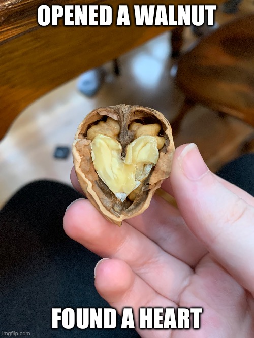 Cool thing | OPENED A WALNUT; FOUND A HEART | made w/ Imgflip meme maker