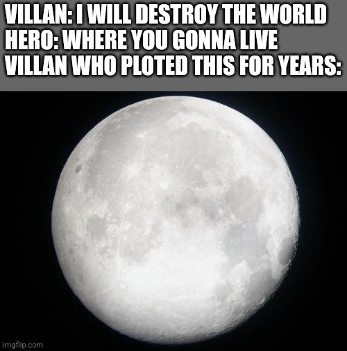 Full Moon | VILLAN: I WILL DESTROY THE WORLD 
HERO: WHERE YOU GONNA LIVE
VILLAN WHO PLOTED THIS FOR YEARS: | image tagged in full moon | made w/ Imgflip meme maker