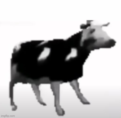 Polish Cow | image tagged in polish cow | made w/ Imgflip meme maker