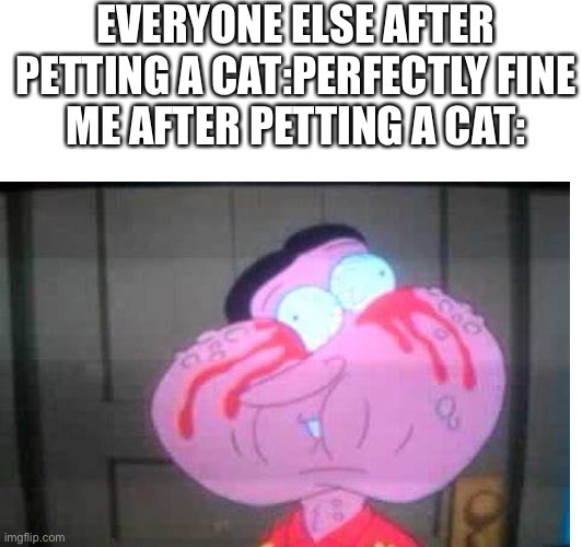 EVERYONE ELSE AFTER PETTING A CAT:PERFECTLY FINE
ME AFTER PETTING A CAT: | image tagged in relatable,family guy,allergies | made w/ Imgflip meme maker