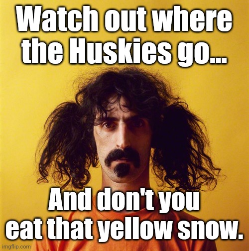 frank zappa | Watch out where the Huskies go... And don't you eat that yellow snow. | image tagged in frank zappa | made w/ Imgflip meme maker