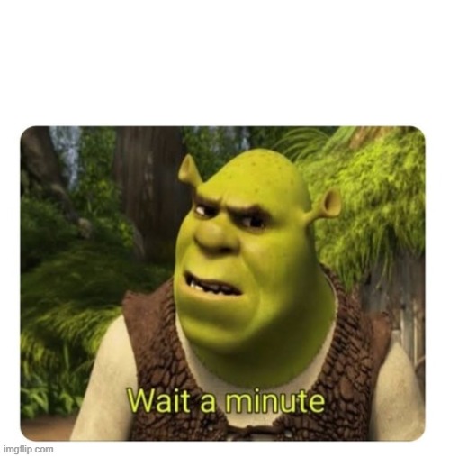 Shrek Wait a Minute | image tagged in shrek wait a minute | made w/ Imgflip meme maker