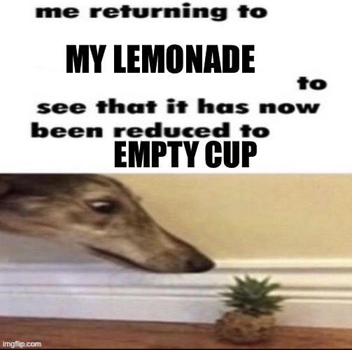 Me returning to to see that it has now been reduced to | MY LEMONADE; EMPTY CUP | image tagged in me returning to to see that it has now been reduced to | made w/ Imgflip meme maker