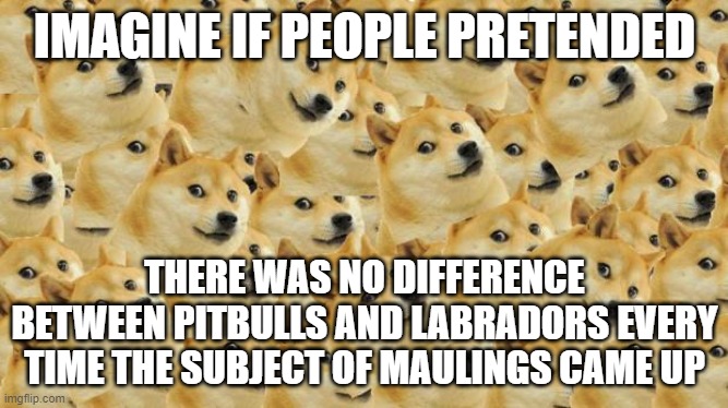 we can't pretend anymore- stats are stats | IMAGINE IF PEOPLE PRETENDED; THERE WAS NO DIFFERENCE BETWEEN PITBULLS AND LABRADORS EVERY TIME THE SUBJECT OF MAULINGS CAME UP | image tagged in memes,multi doge | made w/ Imgflip meme maker