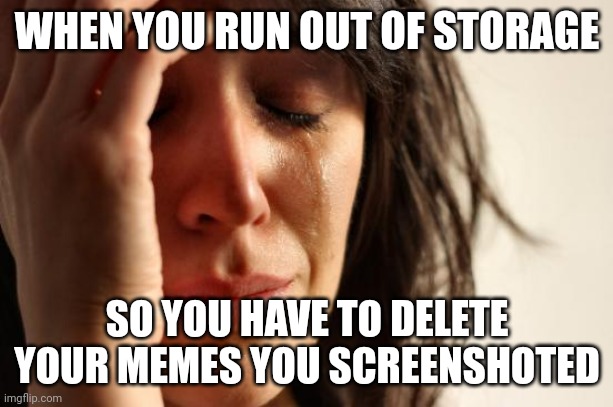 First World Problems | WHEN YOU RUN OUT OF STORAGE; SO YOU HAVE TO DELETE YOUR MEMES YOU SCREENSHOTED | image tagged in memes,first world problems | made w/ Imgflip meme maker