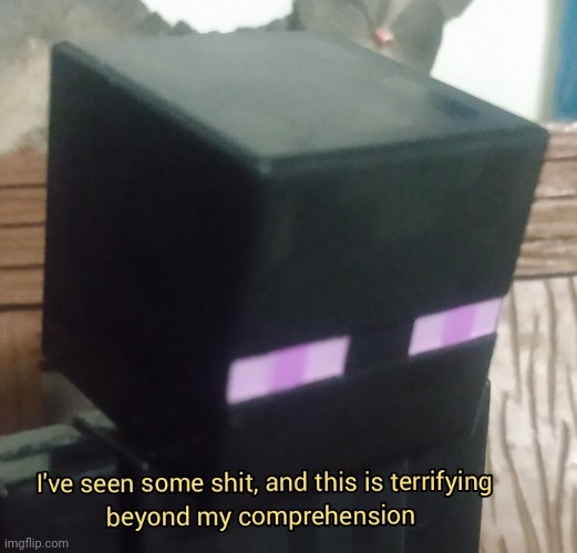 Enderman is scared beyond comprehension | image tagged in enderman is scared beyond comprehension | made w/ Imgflip meme maker