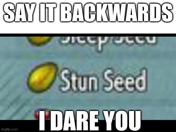 dees nuts | SAY IT BACKWARDS; I DARE YOU | image tagged in deez nuts,deez nutz | made w/ Imgflip meme maker