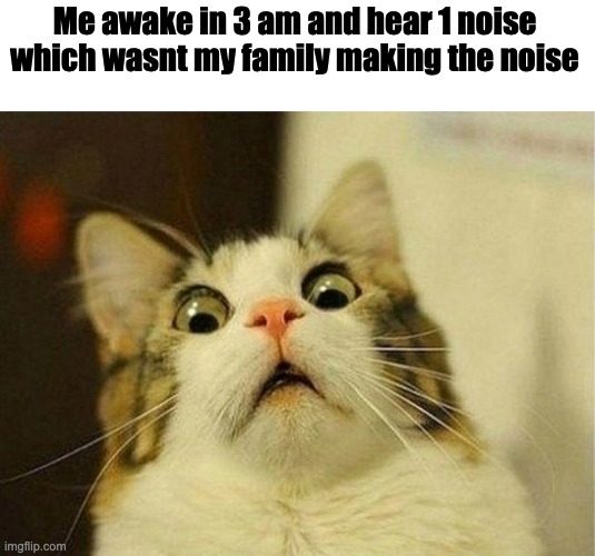 3 am | Me awake in 3 am and hear 1 noise
which wasnt my family making the noise | image tagged in memes,scared cat | made w/ Imgflip meme maker