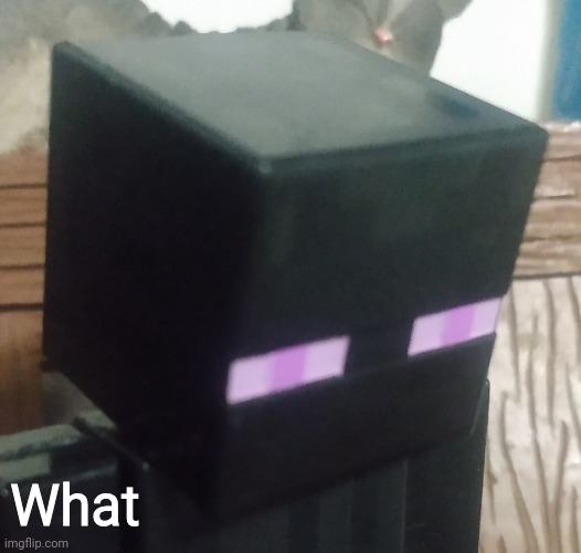 Enderman stare | What | image tagged in enderman stare | made w/ Imgflip meme maker