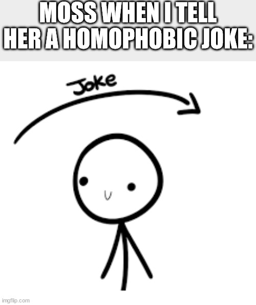 "NOW YOU ARE BANNED FOR HOMOPHOBIA" | MOSS WHEN I TELL HER A HOMOPHOBIC JOKE: | image tagged in joke goes over head | made w/ Imgflip meme maker