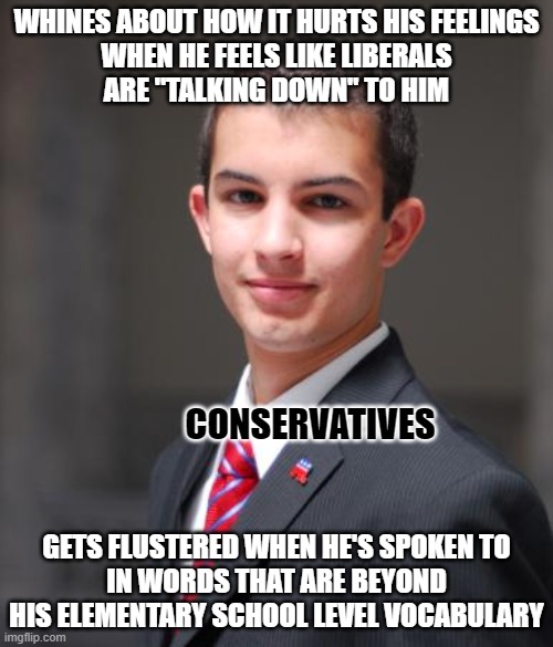 If you want to be spoken to like you're an adult, learn to listen/read/think/understand like an adult. | WHINES ABOUT HOW IT HURTS HIS FEELINGS
WHEN HE FEELS LIKE LIBERALS
ARE "TALKING DOWN" TO HIM; CONSERVATIVES; GETS FLUSTERED WHEN HE'S SPOKEN TO
IN WORDS THAT ARE BEYOND
HIS ELEMENTARY SCHOOL LEVEL VOCABULARY | image tagged in college conservative,conservative logic,hurt feelings,vocabulary,adulting,offended | made w/ Imgflip meme maker