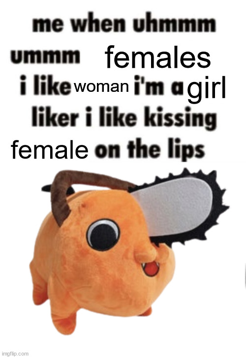 pochita lore | females; woman; girl; female | image tagged in i'm a thing liker,pochita plush | made w/ Imgflip meme maker