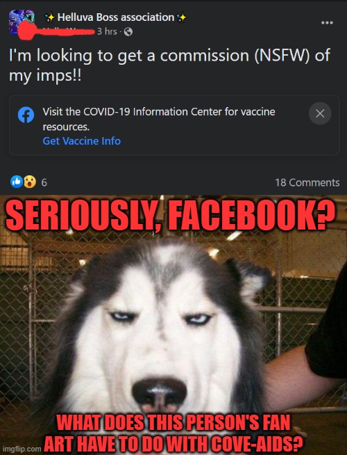 I guess they're gonna start fact checking Deviant Art, too. | SERIOUSLY, FACEBOOK? WHAT DOES THIS PERSON'S FAN ART HAVE TO DO WITH COVE-AIDS? | image tagged in seriously_husky,helluva boss,covid-19,fact check,facebook problems,facebook | made w/ Imgflip meme maker