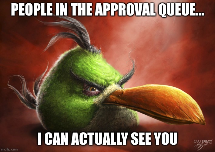 Realistic Angry Bird | PEOPLE IN THE APPROVAL QUEUE... I CAN ACTUALLY SEE YOU | image tagged in realistic angry bird | made w/ Imgflip meme maker