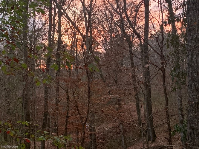 If you look closely you will see 3 people walking on a trail | made w/ Imgflip meme maker