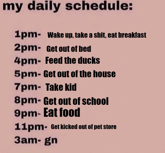 Wake up, take a shit, eat breakfast; Get out of bed; Feed the ducks; Get out of the house; Take kid; Get out of school; Eat food; Get kicked out of pet store | made w/ Imgflip meme maker