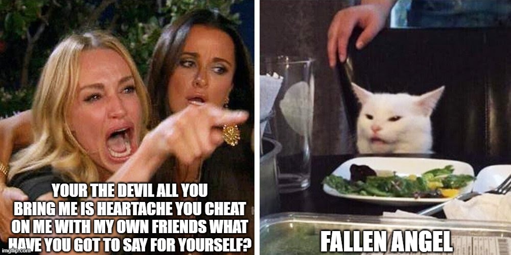 fallen angel | YOUR THE DEVIL ALL YOU BRING ME IS HEARTACHE YOU CHEAT ON ME WITH MY OWN FRIENDS WHAT HAVE YOU GOT TO SAY FOR YOURSELF? FALLEN ANGEL | image tagged in smudge the cat,boyfriend,girlfriend,cats,funny af,laughing | made w/ Imgflip meme maker