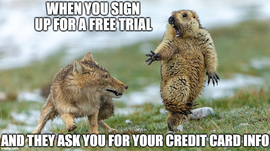 Trust me, it's not free. They're gonna hope you forget to cancel and then charge you for that first month. | WHEN YOU SIGN UP FOR A FREE TRIAL; AND THEY ASK YOU FOR YOUR CREDIT CARD INFO | image tagged in free trial,my ass,subscriptions,credit card,woodchuck,coyote | made w/ Imgflip meme maker