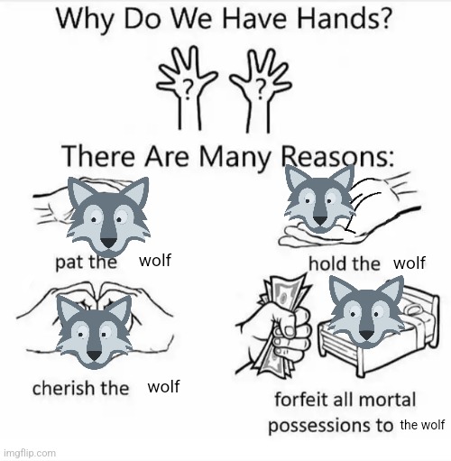 Wolf | wolf; wolf; wolf; the wolf | image tagged in why do we have hands all blank,wolf,wolves | made w/ Imgflip meme maker