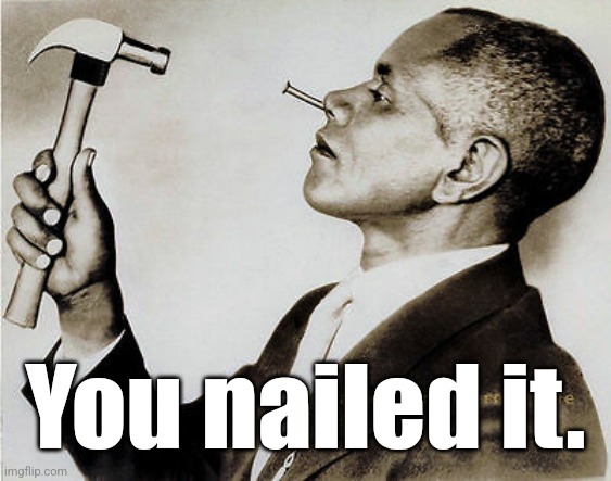 Nail in the face | You nailed it. | image tagged in nail in the face | made w/ Imgflip meme maker