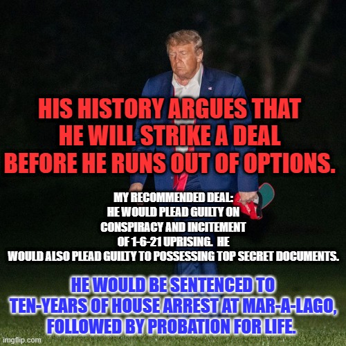 He needs to become a Hermit-Felon. | HIS HISTORY ARGUES THAT HE WILL STRIKE A DEAL BEFORE HE RUNS OUT OF OPTIONS. MY RECOMMENDED DEAL:
HE WOULD PLEAD GUILTY ON CONSPIRACY AND INCITEMENT OF 1-6-21 UPRISING.  HE WOULD ALSO PLEAD GUILTY TO POSSESSING TOP SECRET DOCUMENTS. HE WOULD BE SENTENCED TO TEN-YEARS OF HOUSE ARREST AT MAR-A-LAGO, FOLLOWED BY PROBATION FOR LIFE. | image tagged in politics | made w/ Imgflip meme maker