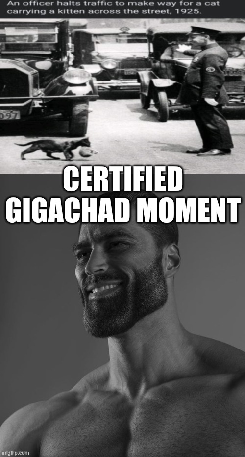 Dank Memes on X: Incase y'all wondered how a real giga chad looks