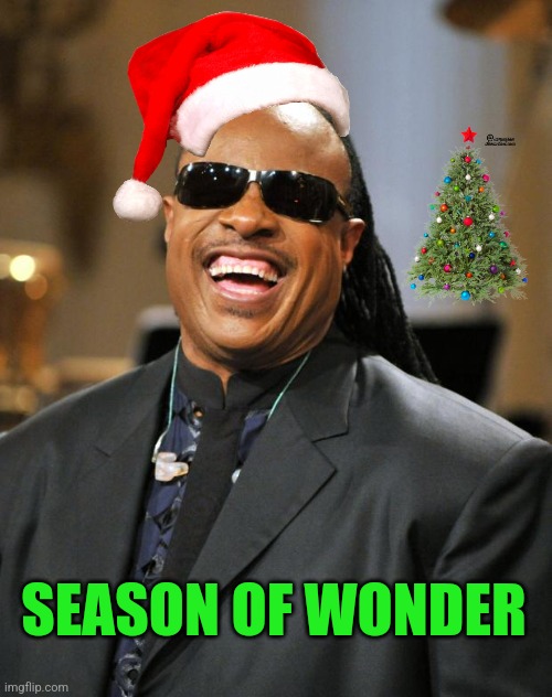 Not meant to offend anyone | SEASON OF WONDER | image tagged in stevie wonder,merry christmas,seasons,greetings,bad puns,funny memes | made w/ Imgflip meme maker