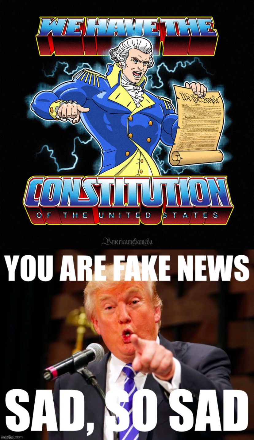 image tagged in we have the constitution of the united states,donald trump you are fake news | made w/ Imgflip meme maker