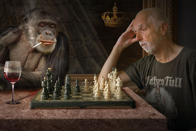Monkey Winning at Chess Blank Meme Template