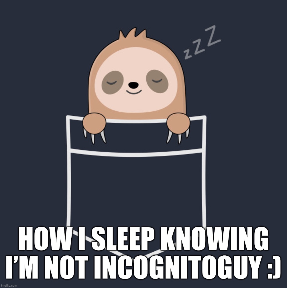 Gettin’ a good night’s sleep tonight. Like every night. Because I’m not IG, of course. Feels good man | HOW I SLEEP KNOWING I’M NOT INCOGNITOGUY :) | image tagged in anime sloth pocket,sloth,is,not,incognitoguy,boi | made w/ Imgflip meme maker