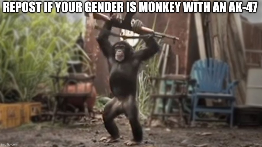 Monkey With AK-47 | REPOST IF YOUR GENDER IS MONKEY WITH AN AK-47 | image tagged in monkey with ak-47 | made w/ Imgflip meme maker