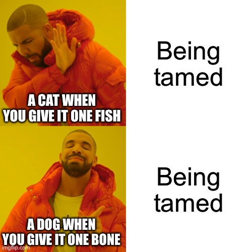 Drake Hotline Bling | Being tamed; A CAT WHEN YOU GIVE IT ONE FISH; Being tamed; A DOG WHEN YOU GIVE IT ONE BONE | image tagged in memes,drake hotline bling | made w/ Imgflip meme maker