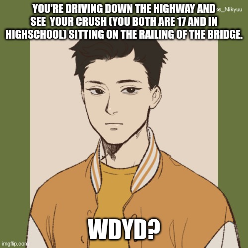 Josh | YOU'RE DRIVING DOWN THE HIGHWAY AND SEE  YOUR CRUSH (YOU BOTH ARE 17 AND IN HIGHSCHOOL) SITTING ON THE RAILING OF THE BRIDGE. WDYD? | image tagged in josh | made w/ Imgflip meme maker