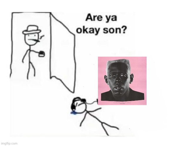 Are you ok son | image tagged in are you ok son | made w/ Imgflip meme maker