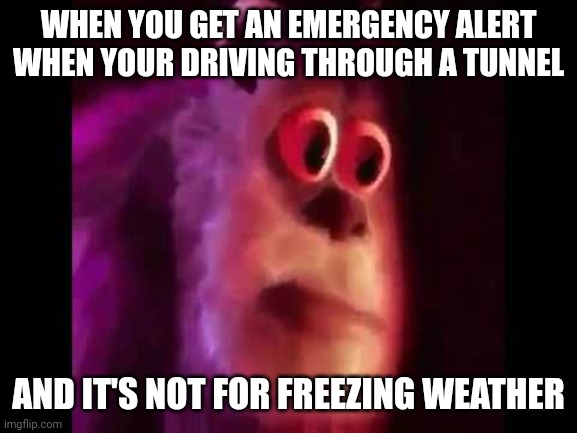 Basically the movie "Tunnel" in a nutshell | WHEN YOU GET AN EMERGENCY ALERT WHEN YOUR DRIVING THROUGH A TUNNEL; AND IT'S NOT FOR FREEZING WEATHER | image tagged in scared sullivan,funny,fun,oh wow are you actually reading these tags | made w/ Imgflip meme maker