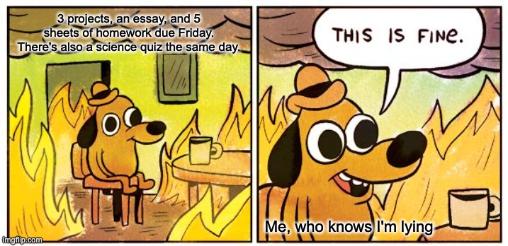 my teachers give so much work | 3 projects, an essay, and 5 sheets of homework due Friday. There's also a science quiz the same day. Me, who knows I'm lying | image tagged in memes,this is fine | made w/ Imgflip meme maker
