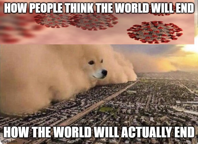 doge will end the world | HOW PEOPLE THINK THE WORLD WILL END; HOW THE WORLD WILL ACTUALLY END | image tagged in doge cloud,covid-19,end of the world | made w/ Imgflip meme maker