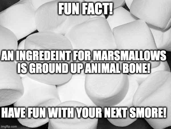 Marshmallow |  FUN FACT! AN INGREDEINT FOR MARSMALLOWS IS GROUND UP ANIMAL BONE! HAVE FUN WITH YOUR NEXT SMORE! | image tagged in marshmallow | made w/ Imgflip meme maker