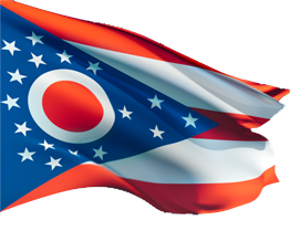 Flag of Ohio Blank Meme Template