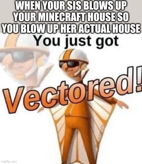 You just got vectored | WHEN YOUR SIS BLOWS UP YOUR MINECRAFT HOUSE SO YOU BLOW UP HER ACTUAL HOUSE | image tagged in you just got vectored | made w/ Imgflip meme maker