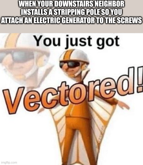 twas quite an electrifying experience, I imagine | WHEN YOUR DOWNSTAIRS NEIGHBOR INSTALLS A STRIPPING POLE SO YOU ATTACH AN ELECTRIC GENERATOR TO THE SCREWS | image tagged in you just got vectored | made w/ Imgflip meme maker
